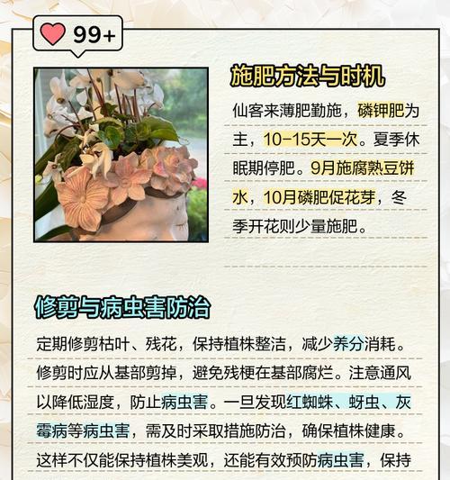 仙客来苗的养护技巧有哪些？怎样确保仙客来苗健康成长？
