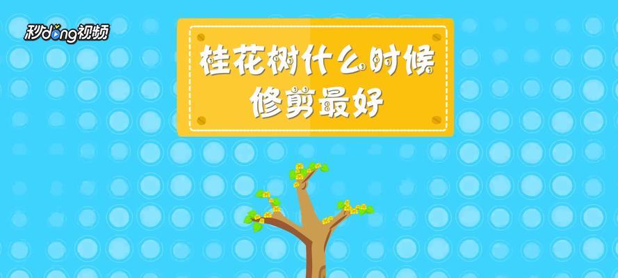 桂花树剪枝的最佳时间和方法是什么？