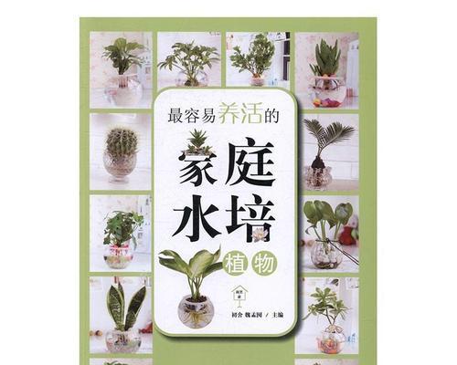 家庭中哪些植物容易养活？