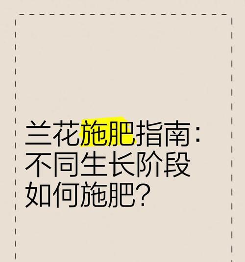 兰花施肥的最佳时间是什么时候？