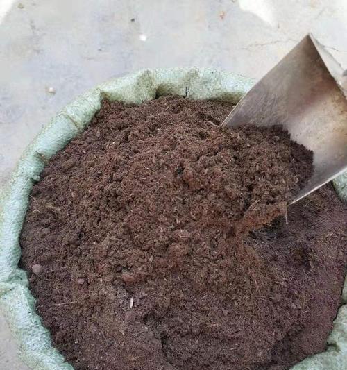 草炭地种植指南：哪些植物最适合在草炭地生长？
