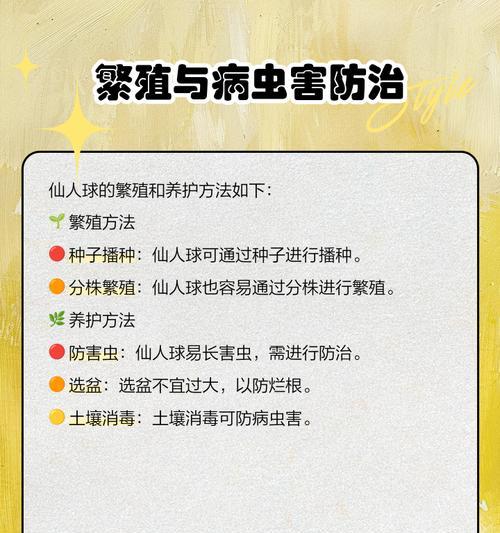 仙人球种植的步骤和注意事项是什么？
