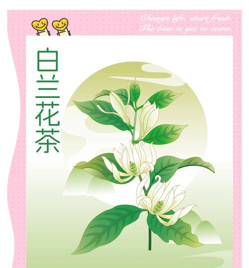 白兰花施肥的正确时机和方法是什么？