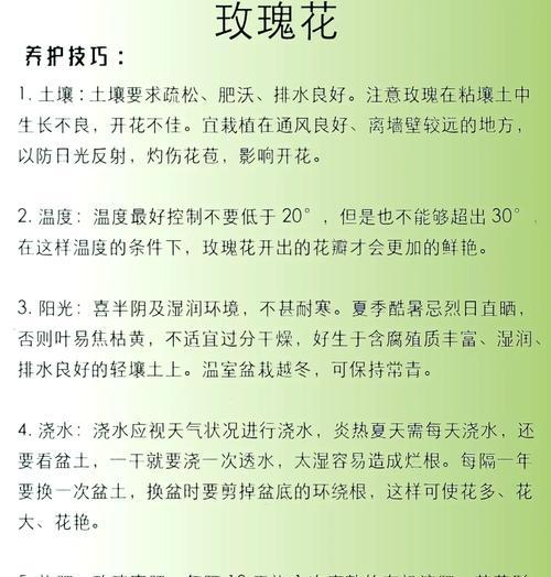 玫瑰花修剪的最佳时机和方法是什么？