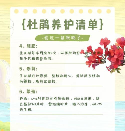 杜鹃花浇水的正确频率和技巧是什么？
