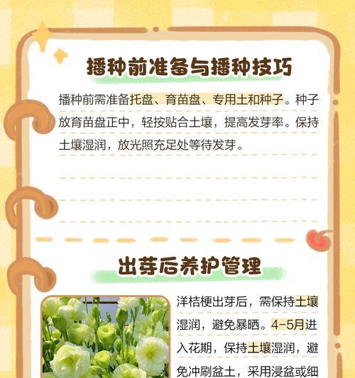 洋桔梗用什么土种植效果最佳？