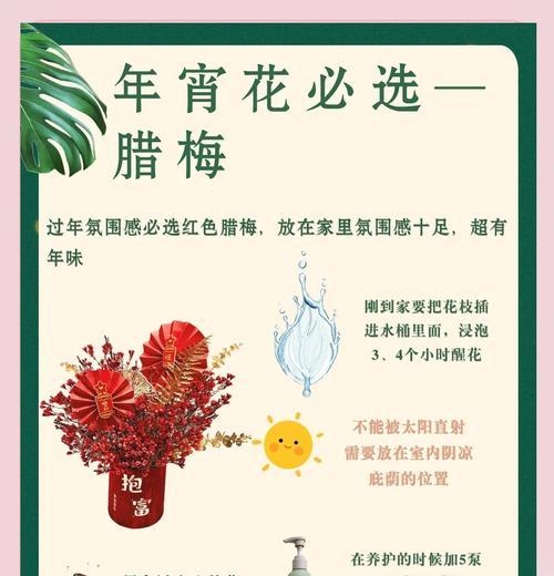 冬季花卉养护的秘诀有哪些？