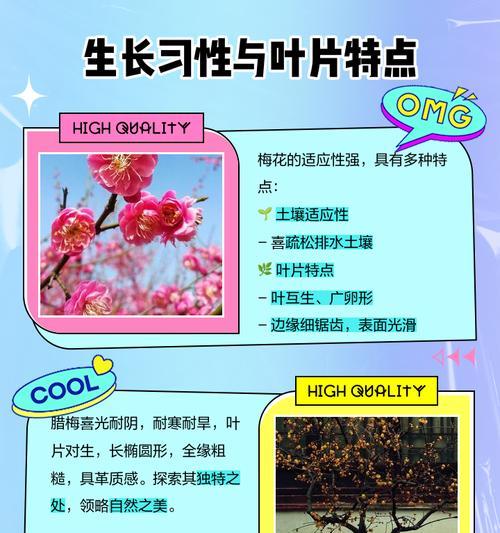 梅花的种植和养护技巧是什么？如何让梅花在春季绽放？