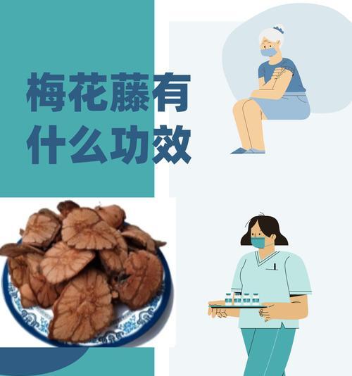 梅花的种植和养护技巧是什么？如何让梅花在春季绽放？