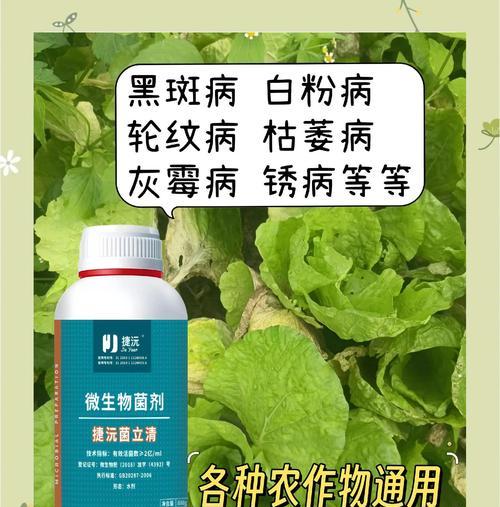 植物病虫害用什么消毒剂？如何安全有效地消毒植物？
