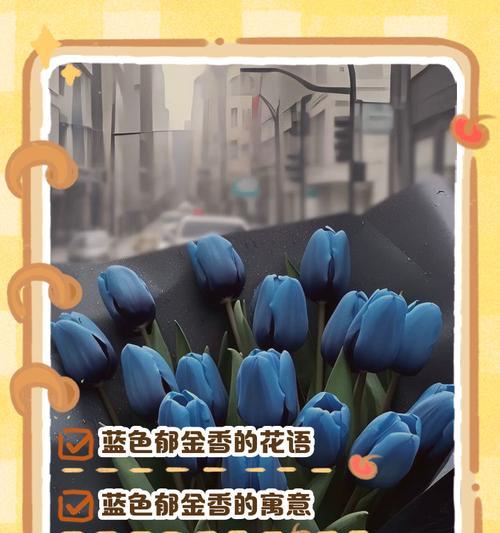 郁金香的花语和象征意义是什么？