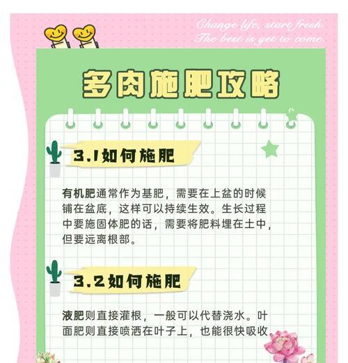 盆栽植物施肥技巧是什么？如何正确给盆栽植物施肥？