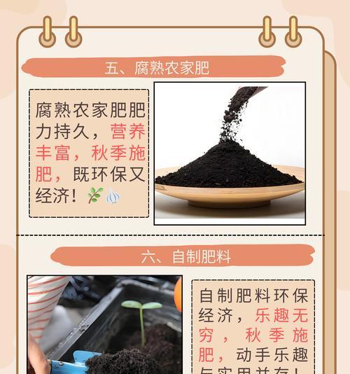 盆栽植物施肥技巧是什么？如何正确给盆栽植物施肥？