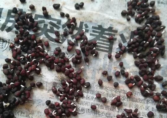 仙客来种子获取的途径有哪些？