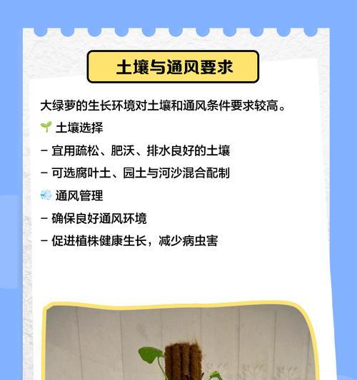 绿萝修剪的最佳时间和方法是什么？