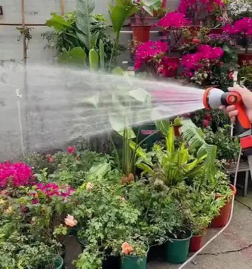 浇花的正确方法和注意事项是什么？