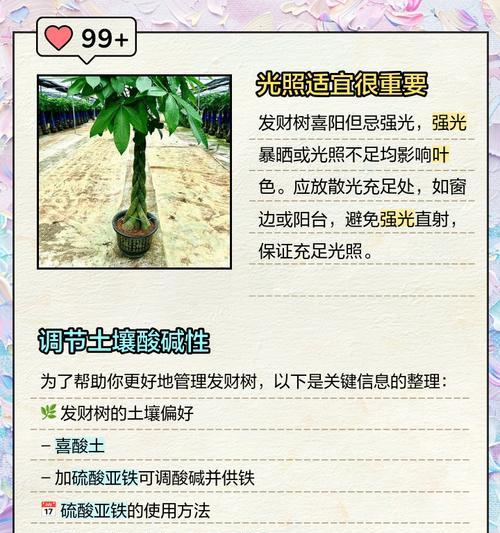发财树叶子变黄如何挽救？有哪些有效措施？
