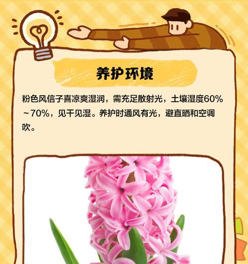 风信子的养殖技巧和注意事项有哪些？