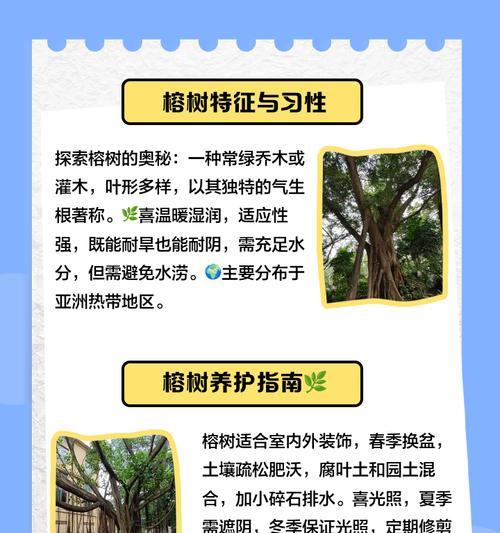 榕树落叶的原因是什么？