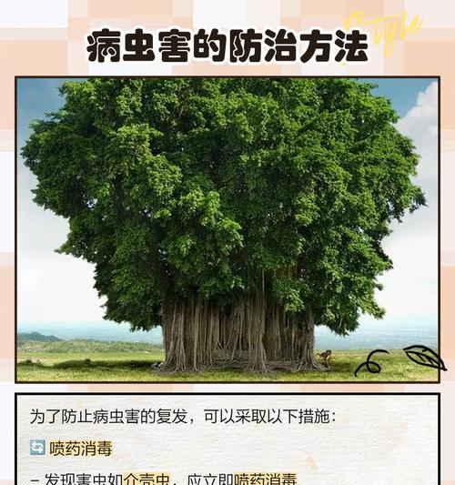 榕树落叶的原因是什么？