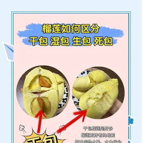 榴莲催芽技巧有哪些？如何加速榴莲种子发芽过程？