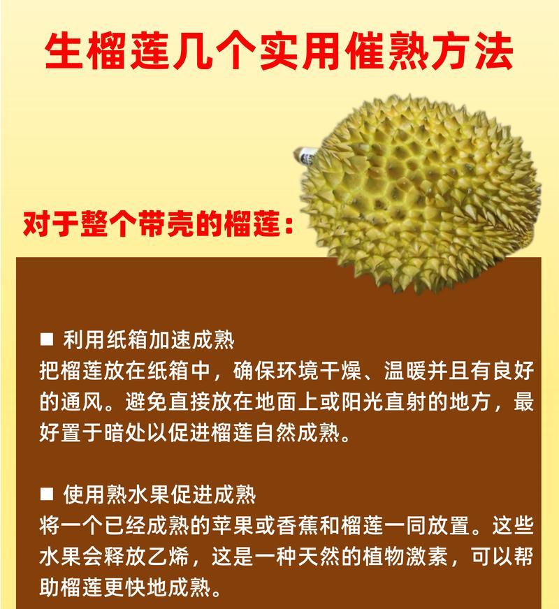 榴莲催芽技巧有哪些？如何加速榴莲种子发芽过程？