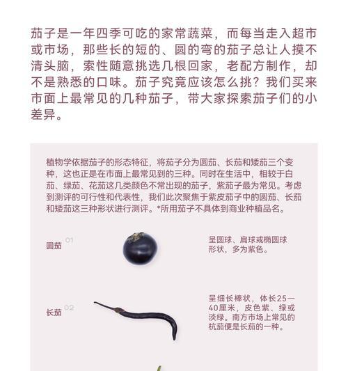 茄子种子怎么种植方法？详细步骤和注意事项是什么？