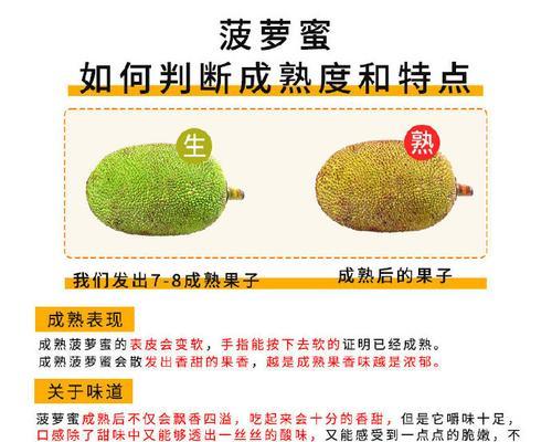 波箩蜜怎么种植方法？从种子到收获的全过程解析？