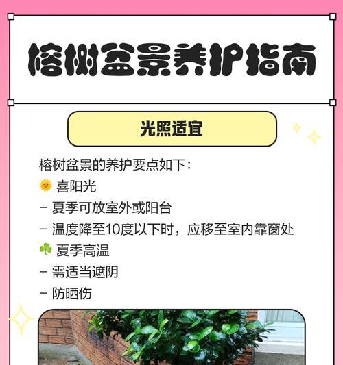 大榕树修剪枝的最佳时机是什么时候？修剪后如何护理？