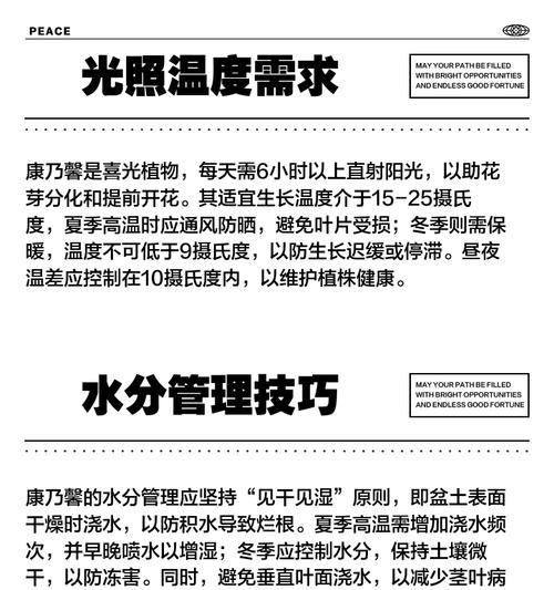 康乃馨根种植方法是什么？如何正确种植康乃馨根？