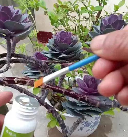 催芽后芽朝上了怎么办？如何调整植物生长方向？