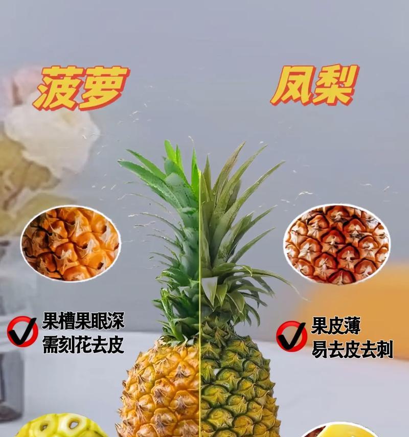 菠萝凤梨怎么种植方法？家庭种植有哪些技巧？