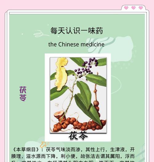 茯苓修剪枝条的最佳时期是什么时候？修剪后如何护理？