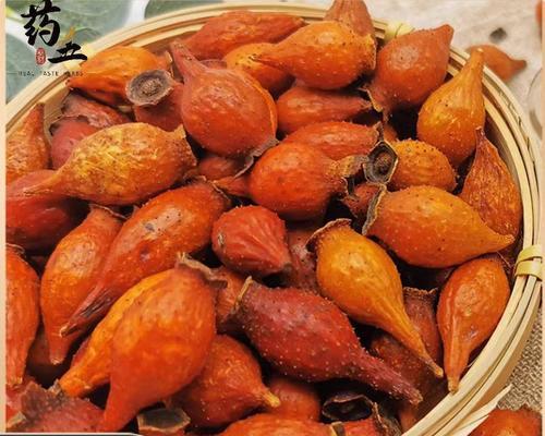 金樱子催芽方法有哪些？如何快速实现金樱子发芽？