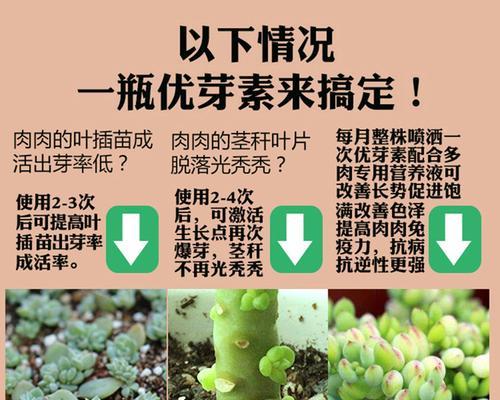 催根催芽叶面肥使用方法是什么？使用过程中常见问题有哪些？