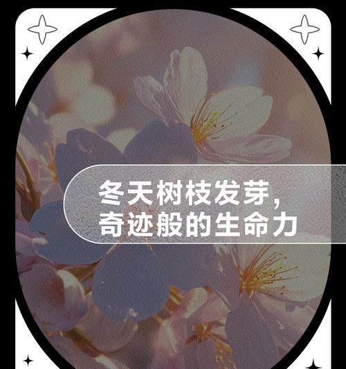 光秃的树枝如何催芽？春季催芽有哪些有效方法？