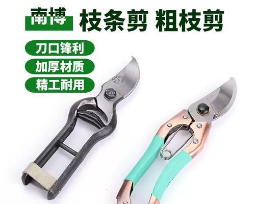 芒果修剪枝叶的最佳时机是什么时候？修剪方法有哪些？