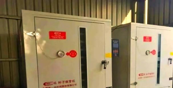 大面积稻谷催芽方法是什么？如何确保稻谷发芽率高？
