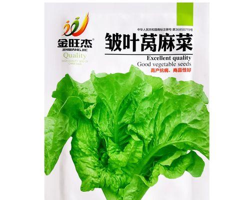 皱叶菜种子怎么种植方法？种植过程中需要注意哪些问题？