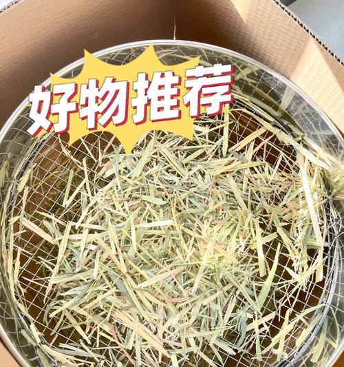 禾种催芽神器使用方法是什么？常见问题有哪些解决办法？