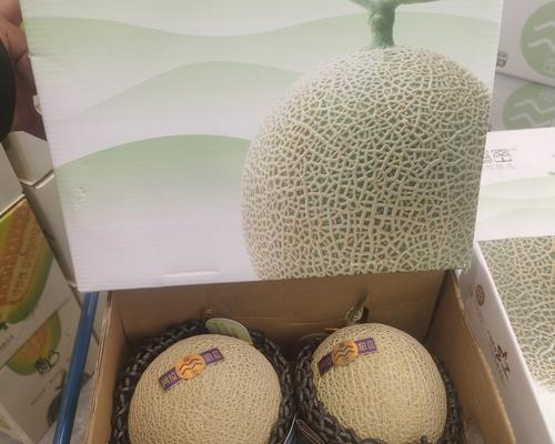 甜瓜芽子催芽方法是什么？步骤和注意事项有哪些？