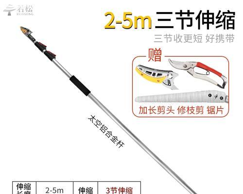 核桃树收果后如何正确修剪枝条？修剪的最佳时机是什么时候？