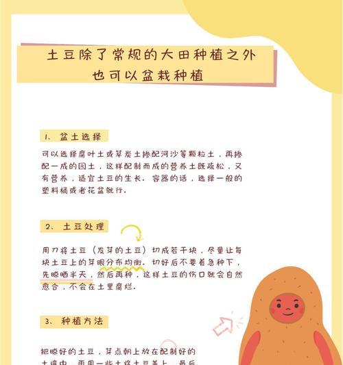土豆催芽后如何正确种植？种植土豆有哪些注意事项？