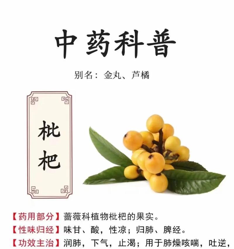 枇杷种子催芽方法是什么？需要多长时间才能发芽？