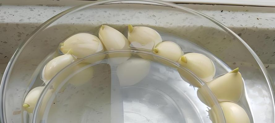 春播大蒜催芽方法是什么？如何提高大蒜发芽率？