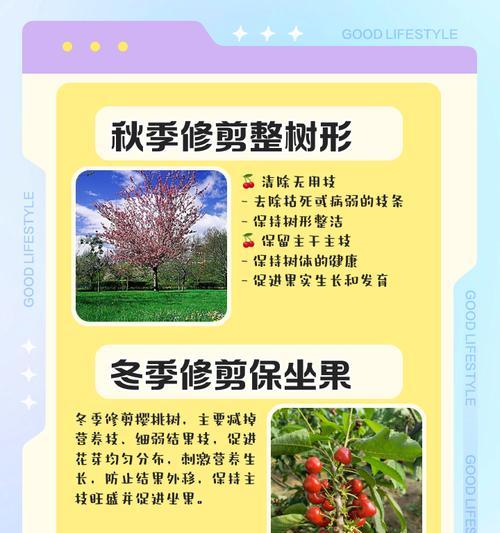 樱桃挂果修剪枝条的最佳时机是什么时候？如何正确修剪以提高产量？
