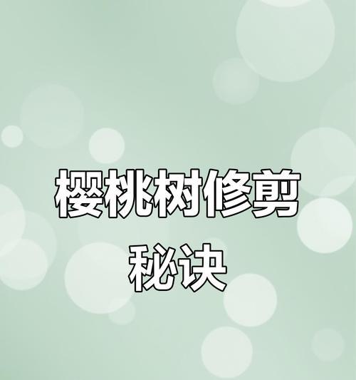 樱桃挂果修剪枝条的最佳时机是什么时候？如何正确修剪以提高产量？