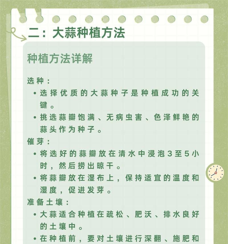 大蒜怎么种植方法？从播种到收获的全过程指南？
