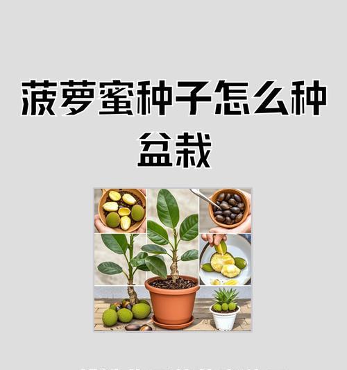 催芽种子种植方法是什么？如何确保种子成功发芽？