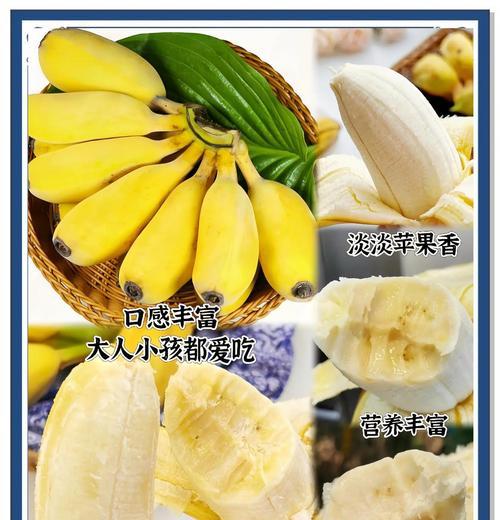怎么选苹果蕉的种植方法？有哪些高效技巧？